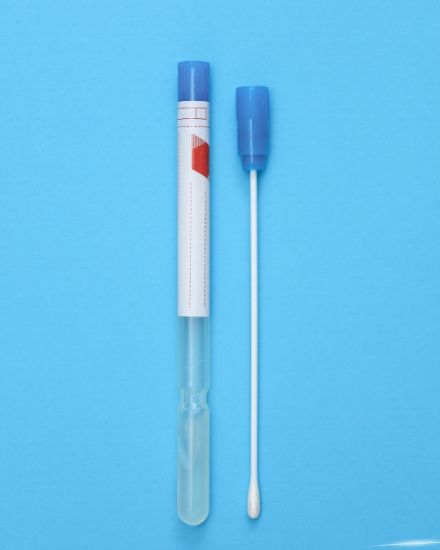 Borrelia burgdorferi DNA resmi