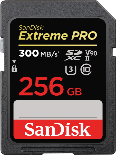 SanDisk Extreme PRO 256GB SDXC Memory Ca resmi